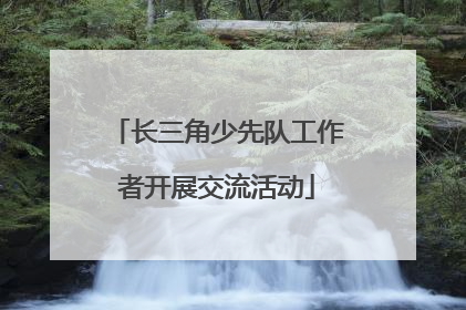 长三角少先队工作者开展交流活动