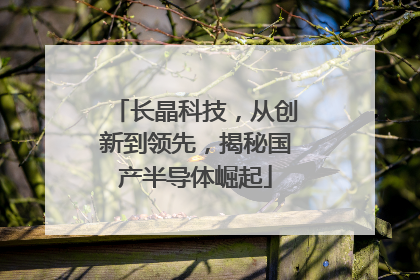 长晶科技，从创新到领先，揭秘国产半导体崛起