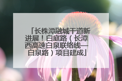 长株潭融城干道新进展！白庭路（长潭西高速白泉联络线—白泉路）项目建成