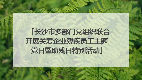 长沙市多部门党组织联合开展关爱企业残疾员工主题党日暨助残日特别活动