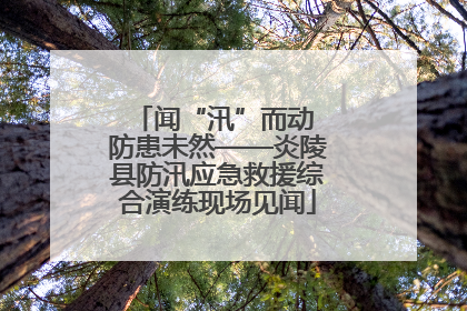 闻“汛”而动 防患未然——炎陵县防汛应急救援综合演练现场见闻