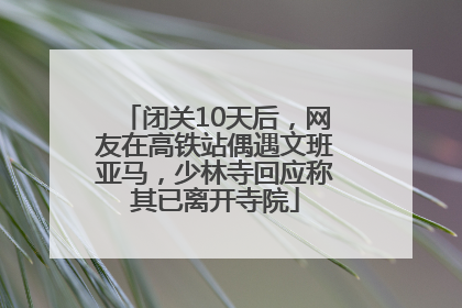 闭关10天后，网友在高铁站偶遇文班亚马，少林寺回应称其已离开寺院