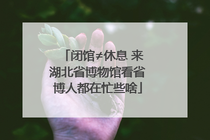 闭馆≠休息 来湖北省博物馆看省博人都在忙些啥