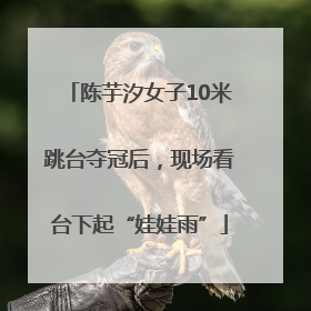 陈芋汐女子10米跳台夺冠后，现场看台下起“娃娃雨”