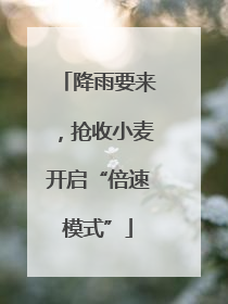 降雨要来,抢收小麦开启“倍速模式”
