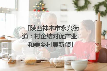 陕西神木市永兴街道：村企结对促产业 和美乡村展新颜