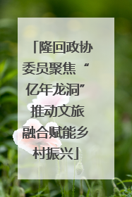 隆回政协委员聚焦“亿年龙洞” 推动文旅融合赋能乡村振兴