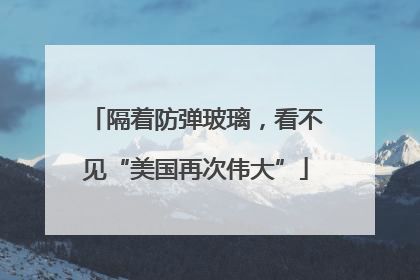 隔着防弹玻璃，看不见“美国再次伟大”