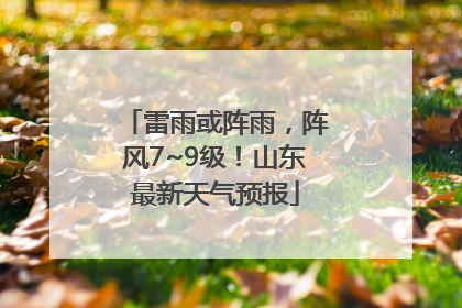 雷雨或阵雨，阵风7~9级！山东最新天气预报