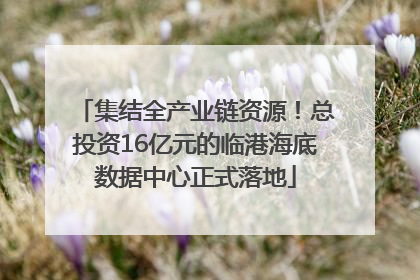 集结全产业链资源！总投资16亿元的临港海底数据中心正式落地