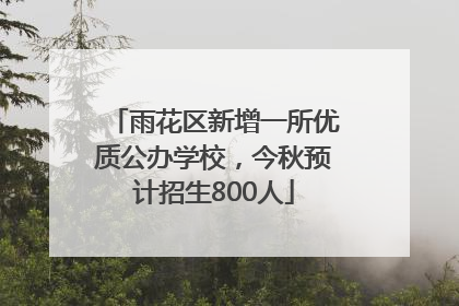 雨花区新增一所优质公办学校，今秋预计招生800人