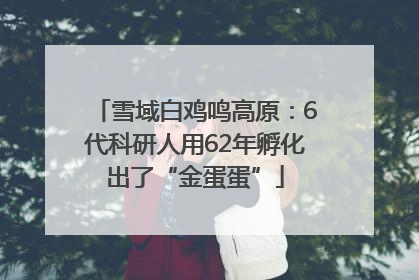 雪域白鸡鸣高原：6代科研人用62年孵化出了“金蛋蛋”
