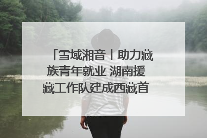 雪域湘音丨助力藏族青年就业 湖南援藏工作队建成西藏首个清洁能源装备园