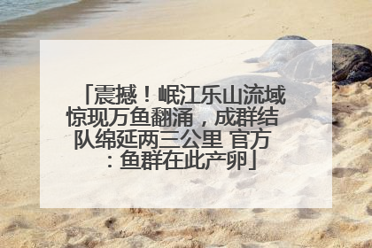 震撼！岷江乐山流域惊现万鱼翻涌，成群结队绵延两三公里 官方：鱼群在此产卵