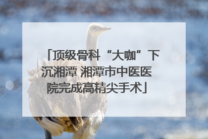 顶级骨科“大咖”下沉湘潭 湘潭市中医医院完成高精尖手术