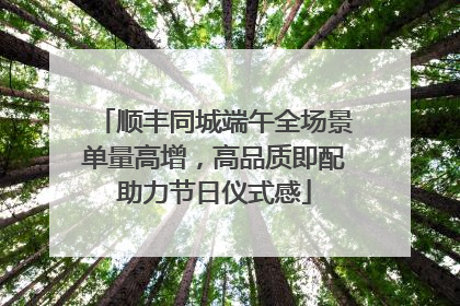 顺丰同城端午全场景单量高增，高品质即配助力节日仪式感