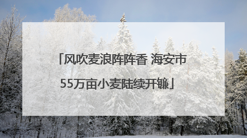 风吹麦浪阵阵香 海安市55万亩小麦陆续开镰