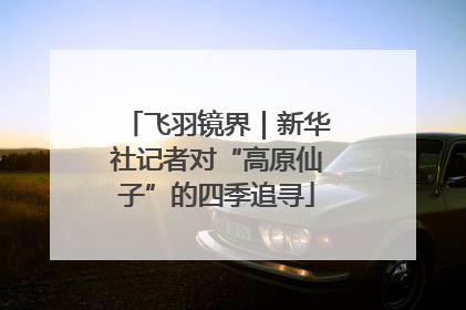 飞羽镜界｜新华社记者对“高原仙子”的四季追寻