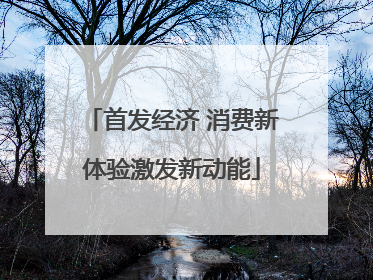 首发经济 消费新体验激发新动能