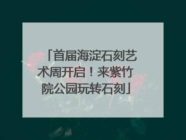 首届海淀石刻艺术周开启！来紫竹院公园玩转石刻