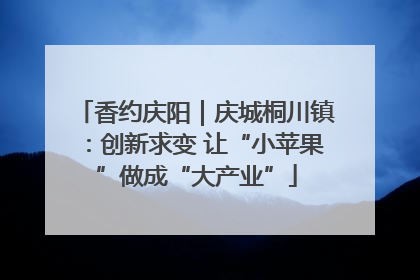 香约庆阳｜庆城桐川镇：创新求变 让“小苹果”做成“大产业”
