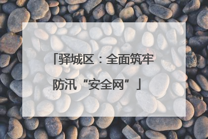 驿城区：全面筑牢防汛“安全网”
