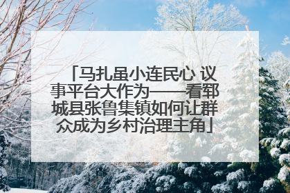 马扎虽小连民心 议事平台大作为——看郓城县张鲁集镇如何让群众成为乡村治理主角