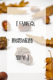 马斯克抱怨成替罪羊