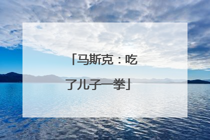 马斯克：吃了儿子一拳