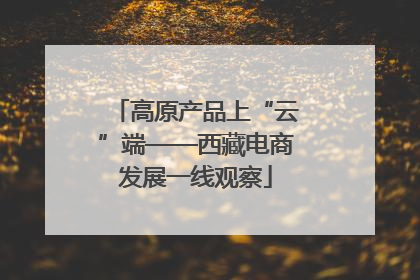 高原产品上“云”端——西藏电商发展一线观察