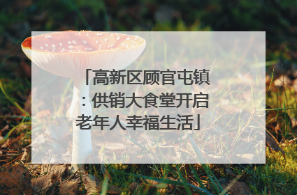 高新区顾官屯镇：供销大食堂开启老年人幸福生活
