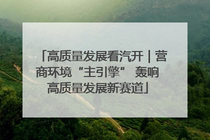 高质量发展看汽开｜营商环境“主引擎” 轰响高质量发展新赛道