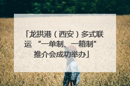 龙拱港（西安）多式联运 “一单制、一箱制” 推介会成功举办