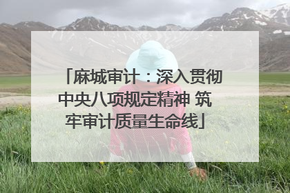 麻城审计：深入贯彻中央八项规定精神 筑牢审计质量生命线