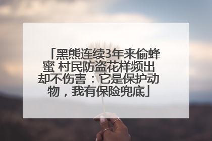 黑熊连续3年来偷蜂蜜 村民防盗花样频出却不伤害：它是保护动物，我有保险兜底