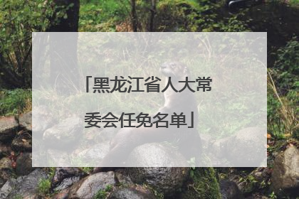 黑龙江省人大常委会任免名单