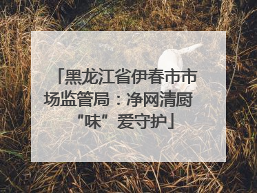 黑龙江省伊春市市场监管局：净网清厨 “味”爱守护