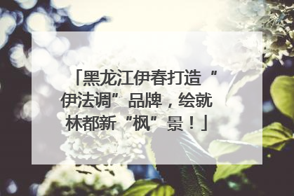 黑龙江伊春打造“伊法调”品牌，绘就林都新“枫”景！