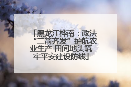 黑龙江桦南：政法“三箭齐发”护航农业生产 田间地头筑牢平安建设防线