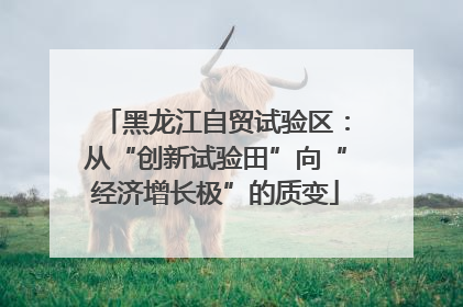 黑龙江自贸试验区：从“创新试验田”向“经济增长极”的质变