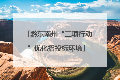 黔东南州“三项行动”优化招投标环境