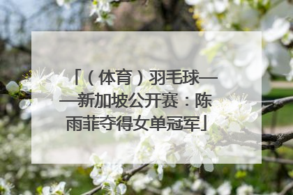 （体育）羽毛球——新加坡公开赛：陈雨菲夺得女单冠军