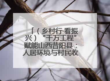 （乡村行·看振兴）“千万工程”赋能山西昔阳县：人居环境与村民收入“双提升”