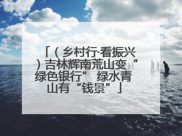 （乡村行·看振兴）吉林辉南荒山变“绿色银行” 绿水青山有“钱景”