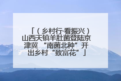 （乡村行·看振兴）山西天镇羊肚菌登陆京津冀 “南菌北种”开出乡村“致富花”