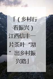 （乡村行·看振兴）江西信丰一片茶叶“沏”出乡村振兴路