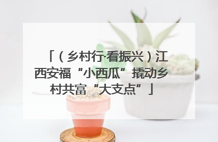 （乡村行·看振兴）江西安福“小西瓜”撬动乡村共富“大支点”