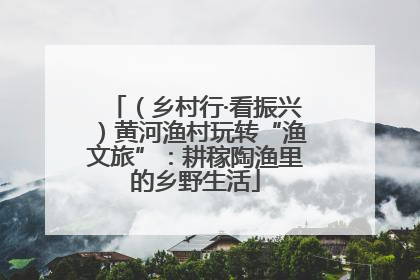 （乡村行·看振兴）黄河渔村玩转“渔文旅”：耕稼陶渔里的乡野生活