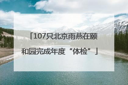 107只北京雨燕在颐和园完成年度“体检”