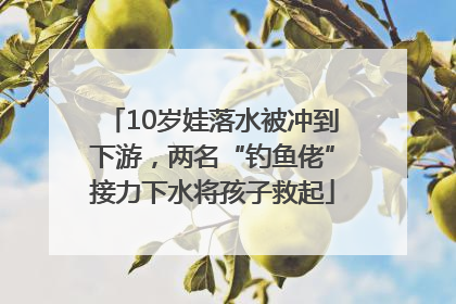 10岁娃落水被冲到下游，两名“钓鱼佬”接力下水将孩子救起